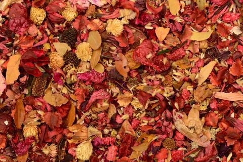 Full Frame Potpourri Stock Photos