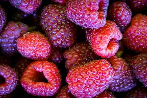 Full frame raspberry view. Top view. Foto stock
