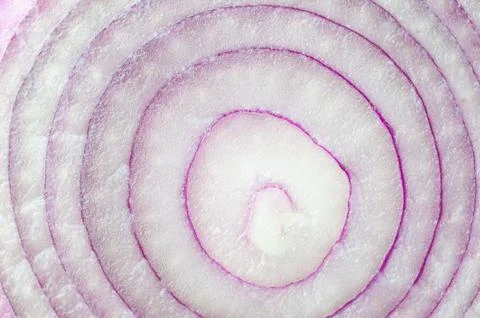 Full frame red onion in the cut Stock Photos
