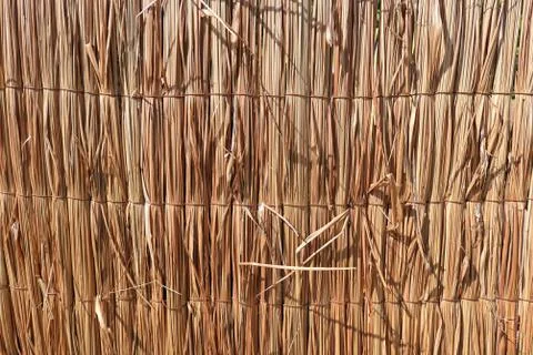 Full frame reed mat background. Stock Photos