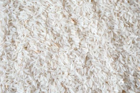 Full frame rice with paddy Stock Photos