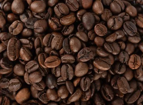 Full frame of roasted Robusta and Arabica coffee beans. Stock Photos