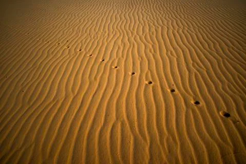 Full frame of sand texture on dunes Foto stock