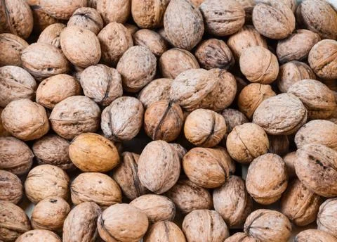 Full frame  shot of dried  walnuts pile  . Stock Photos