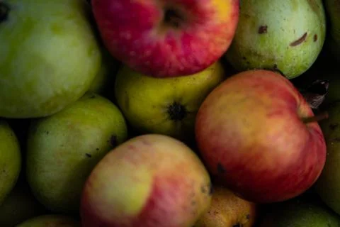 Full frame shot of red apples. Fresh red apples from the market. Stock Photos