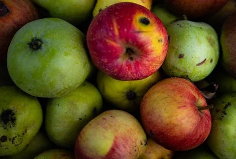 Full frame shot of red apples. Fresh red apples from the market. Stock Photos