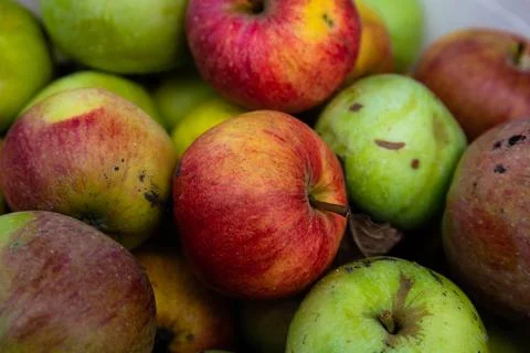 Full frame shot of red apples. Fresh red apples from the market. Foto stock