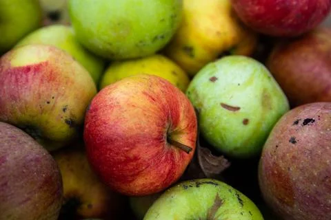Full frame shot of red apples. Fresh red apples from the market. Stock Photos