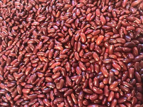 Full frame shot of red beans in studio Stock Photos