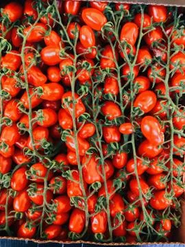 Full frame shot of tomatoes Stock Photos