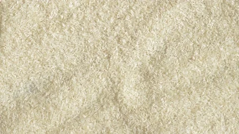 Full Frame Shot Whole Of Rice Grain in Sunlight. Food Background. Directly Ab Stock Footage 159402417