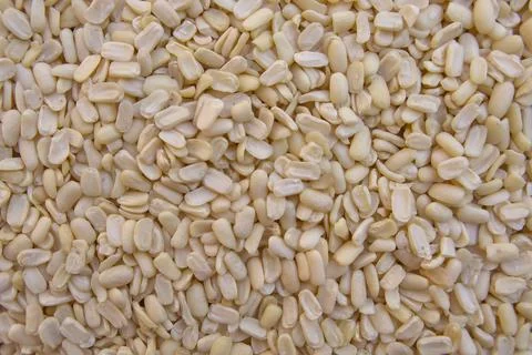 Full Frame of Split Dehusked Black Gram White Lentils Stock-Fotos