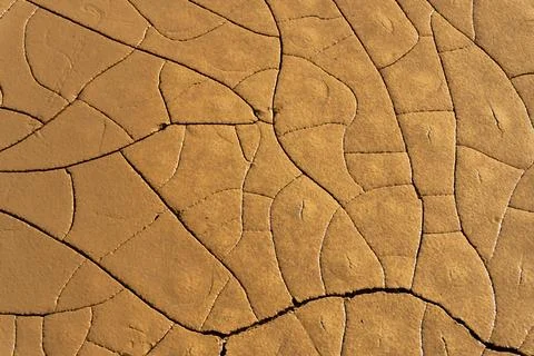 Full frame texture of damp cracked brown mud surface Stock Photos