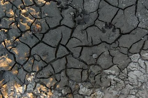 Full frame texture of dry cracked ground, parched soil background Stock-Fotos
