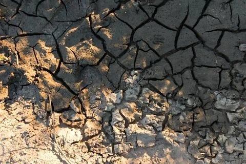 Full frame texture of dry cracked ground, parched soil background Stock-Fotos