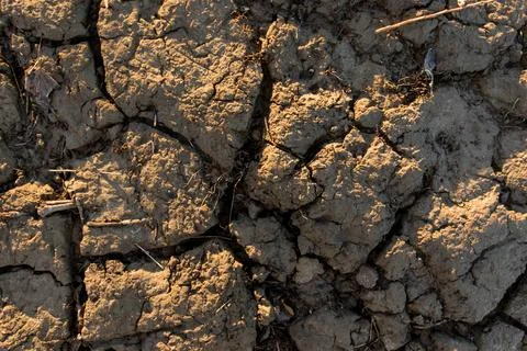 Full frame texture of dry cracked ground, parched soil background Stock-Fotos