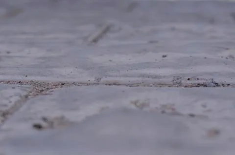 Full frame of texture of gray stone on the sidewalk. 스톡 사진