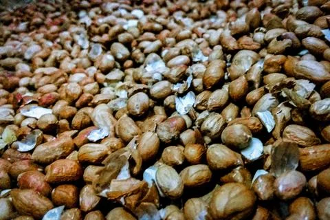 Full Frame Texture of Raw Shelled Peanuts with Skins Stock Photos