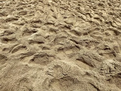 Full Frame Textured Brown Wet Sand Stock Photos