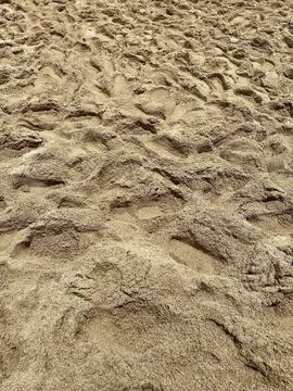 Full Frame Textured Brown Wet Sand on the beach Stock Photos