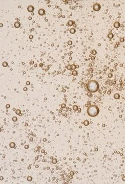Full frame of the textures formed by the bubbles and drops Stock Photos