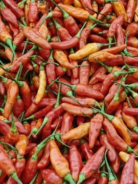 Full Frame Top View of Fresh Red Bird's Eye Chilies Stock Photos