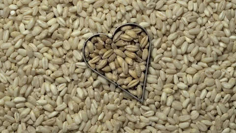 Full-frame of two types of Common wheatgrains in rotation Stock Footage 123622343
