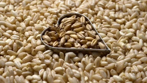 Full-frame of two types of Common wheat grains in rotation Stock Footage 123622951