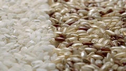 Full-frame of two types of Rice grains in rotation Stock Footage 123681753