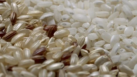 Full-frame of two types of Rice grains in rotation Stock Footage 123682036