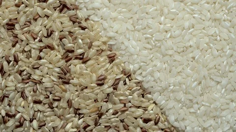 Full-frame of two types of Rice grains in rotation Stock Footage 123683384