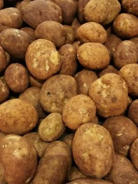 Full frame vegetable background of brown unwashed fresh unpeeled potatoes Stock Photos