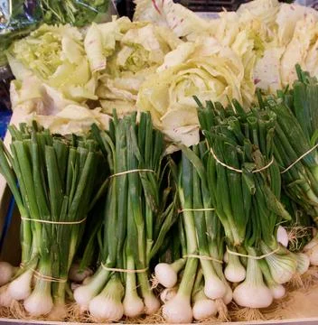 Full frame vegetable background of spring onions and lettuce with copyspace Stock Photos