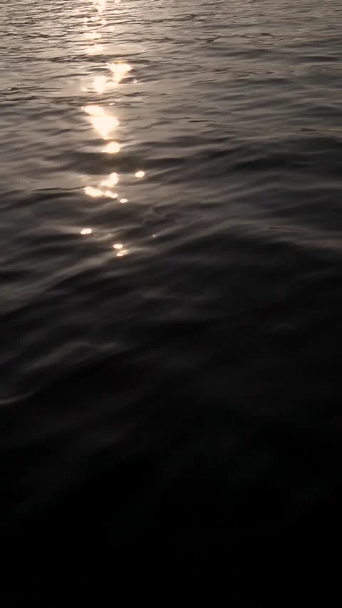 Full frame vertical of calm water surface with reflected sunlight sunset Stock Footage 333844088