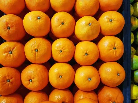 Full Frame Vibrant Background of Carefully Arranged Fresh Orange Fruits Stock Photos