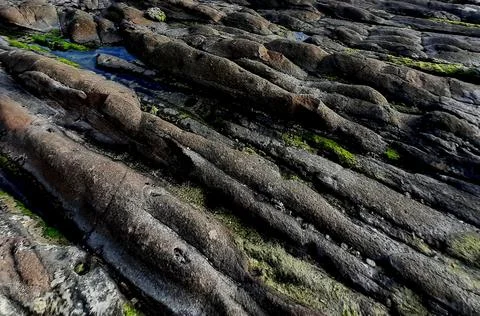 Full frame view from grey rock stones with striped pattern at a rocky sand be Stock Photos