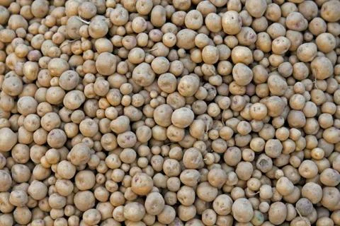 Full frame view of raw potatoes, solanum tuberosum l in a market stall, india Stock Photos