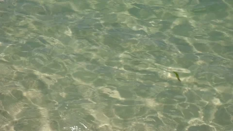 Full Frame View Of Tropical Sunny Sea Vídeo Stock 144589355