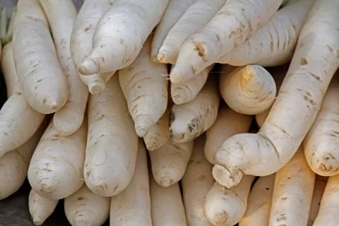 Full frame view of white raddish in a market stall, miao, arunachal pradesh, Foto stock