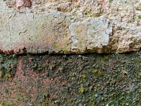 Full Frame of Weathered Bricks with Moss and Lichen Texture Stock Photos