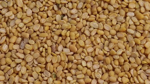 Full frame of yellow split lentils Stock Footage 338171521