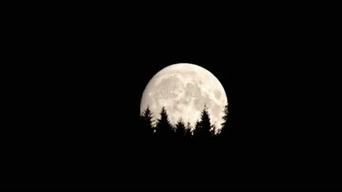 Full glowing moon rises from behind a tree forest line mountain range Stock Footage 188826841