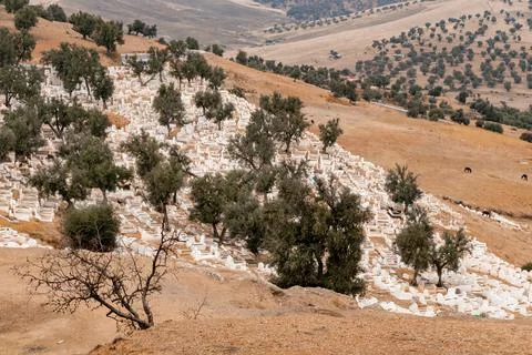 Full graveyard on a hill in Morocco Stock Photos