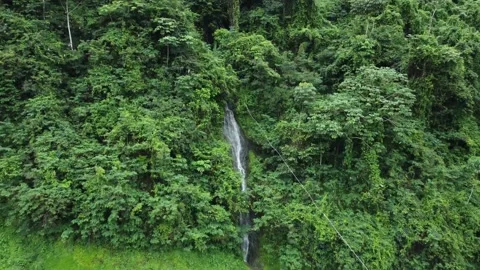 A full of green tropical mountain Video stock 194516628