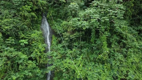 A full of green tropical mountain Video stock 194516752