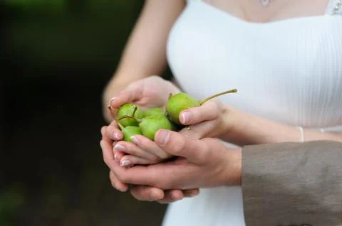 Full handful of pears Stock Photos