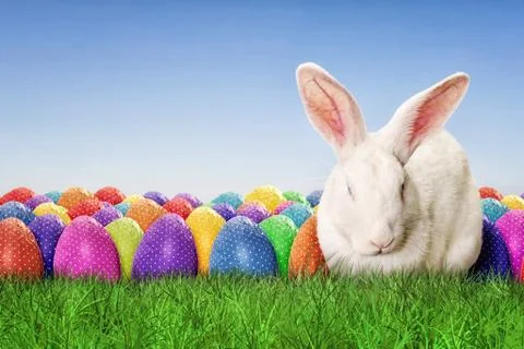 Full Happy Easter Stock Photos