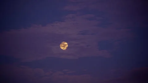 Full Harvest Super Moon Rises through Blue and Yellow Sky and Clouds Timelapse Stock Footage 285111352