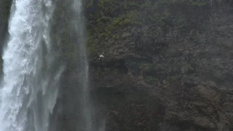 Full HD 5x slow motion: Seljalandsfoss waterfall in Iceland in August Stock Footage 151562510