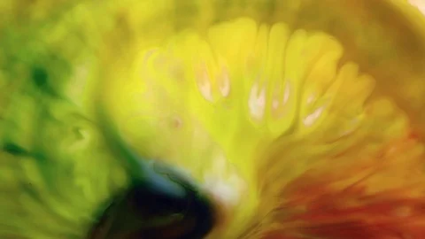 Full HD. Abstract background. Liquid ink blending burst swirl fluid Stock Footage 88450302